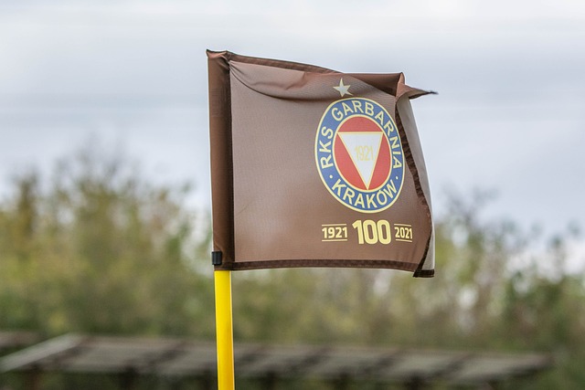 影响和关键 影响和关键