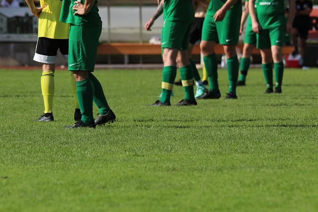 日本队主帅 日本队主帅